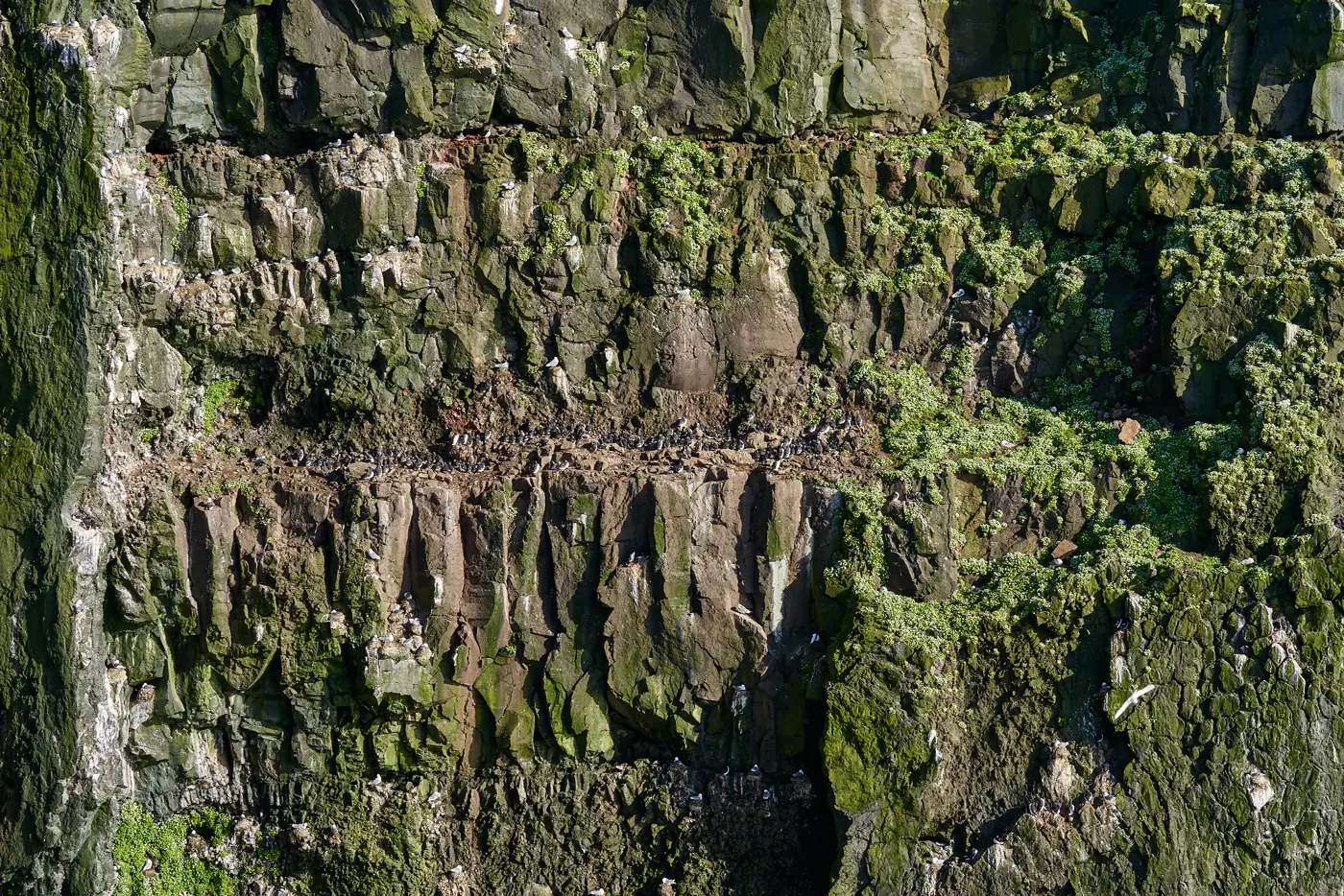 Eine dunkle, bemooste Felswand