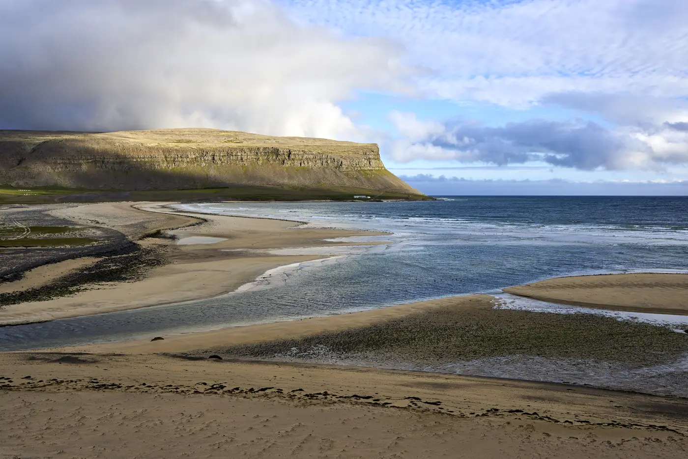A seal resting on the beach