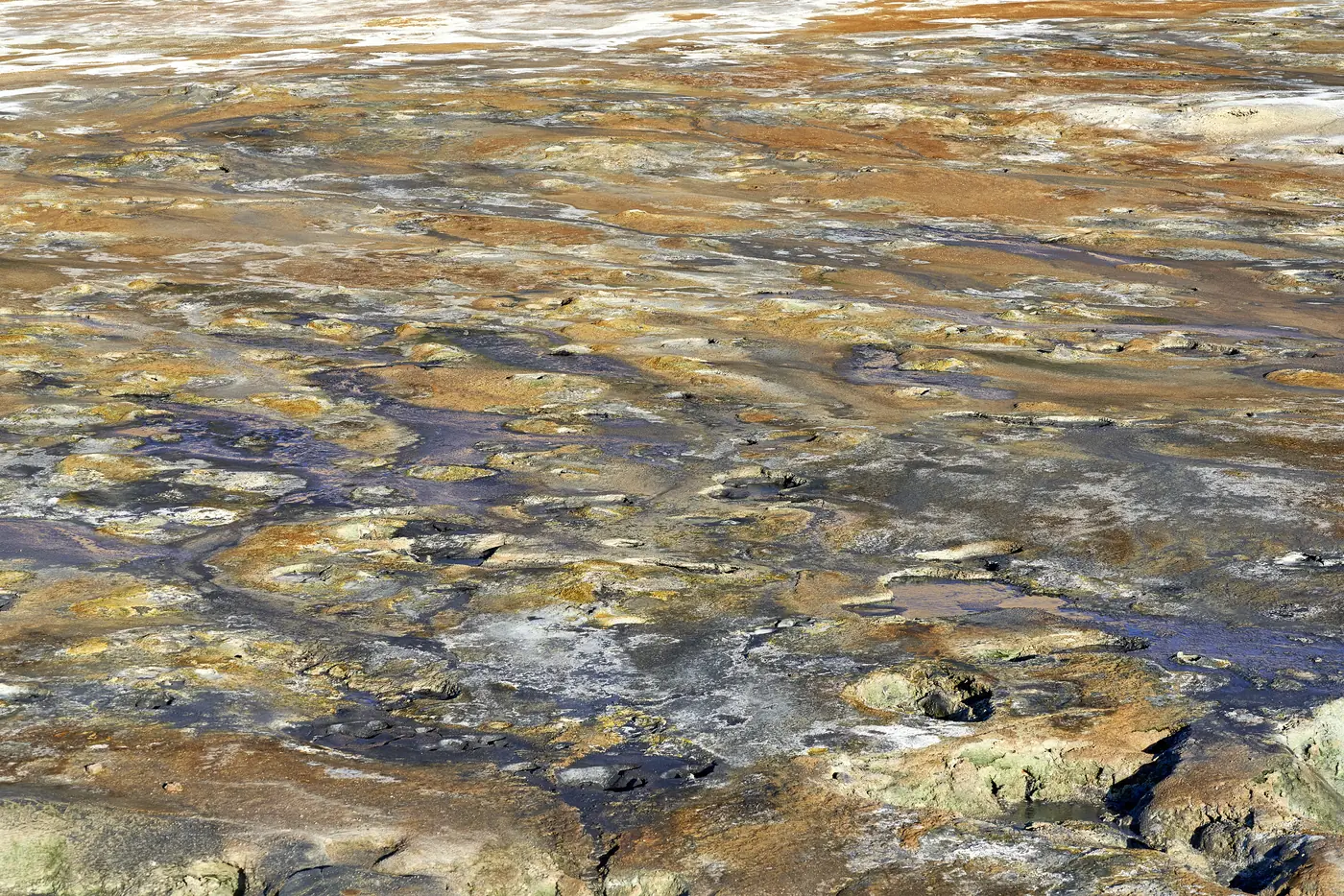 A moss-green geothermal field
